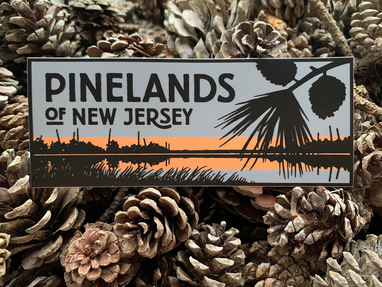 NJ Pinelands at Sunset Vinyl Decal