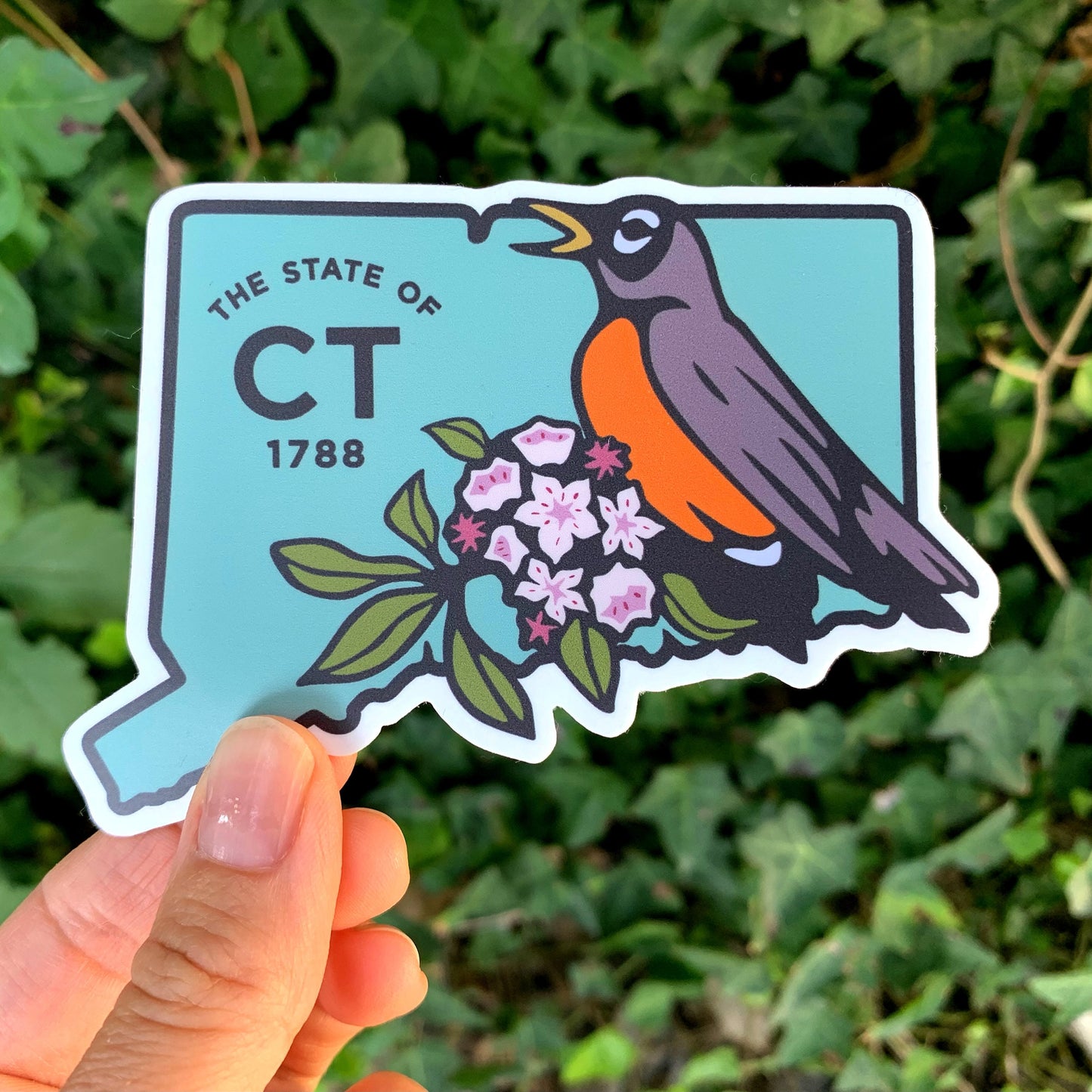 State of Connecticut Vinyl Decal