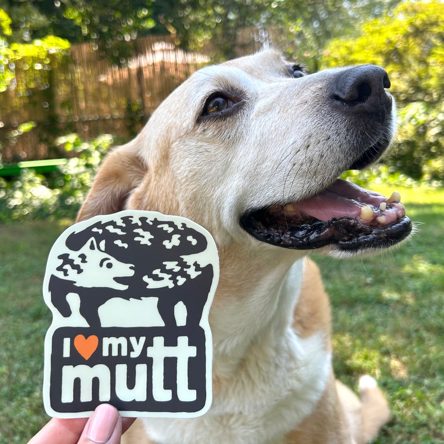 Adopt a Mutt Vinyl Decal